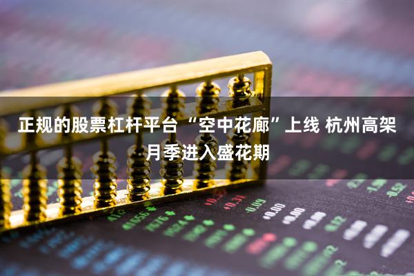 正规的股票杠杆平台 “空中花廊”上线 杭州高架月季进入盛花期