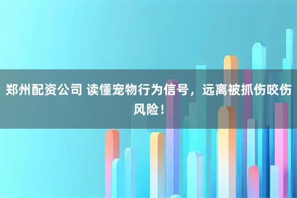郑州配资公司 读懂宠物行为信号，远离被抓伤咬伤风险！