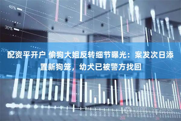 配资平开户 偷狗大姐反转细节曝光：案发次日添置新狗笼，幼犬已被警方找回